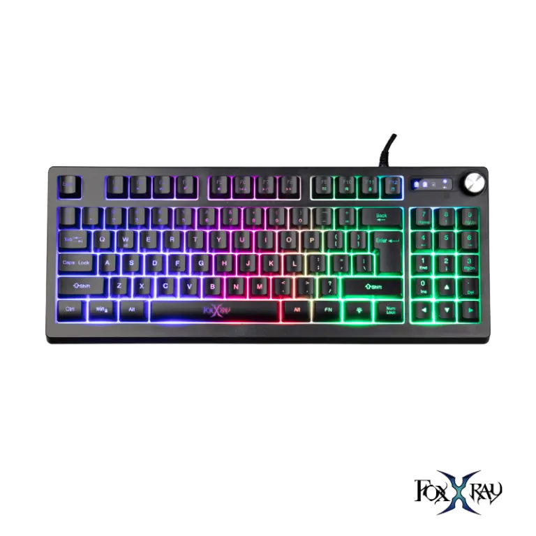 FOXXRAY阿維斯戰狐89鍵電競鍵盤FXRSKL66｜全國電子｜最安心的配送